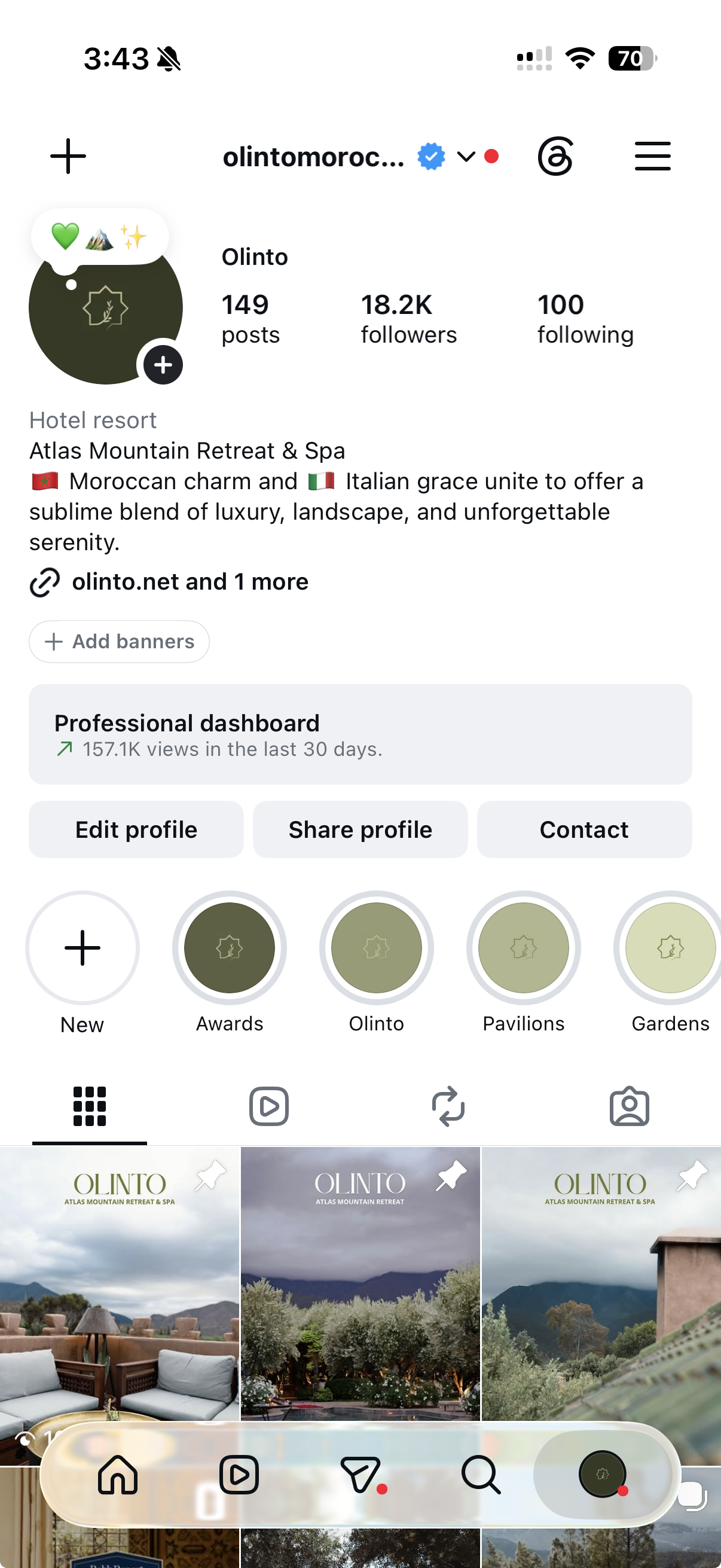 Olinto Instagram profile and visual grid
